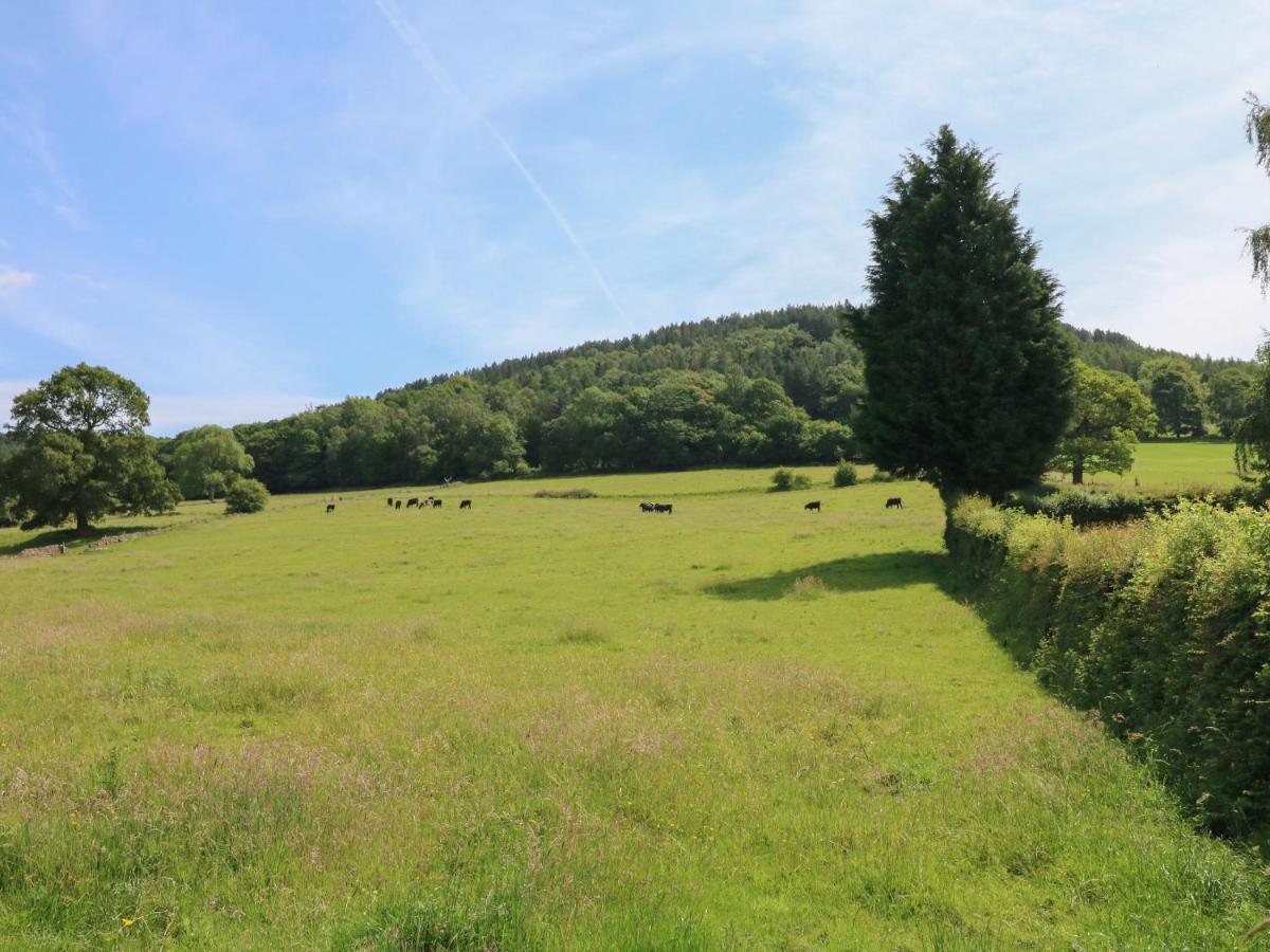 Lees Moor Cottage Μάτλοκ Εξωτερικό φωτογραφία